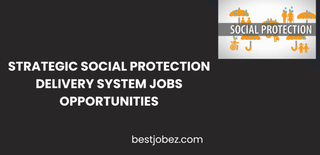 Strategic Social Protection Delivery System Jobs Opportunities